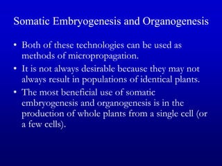 Somatic Embryogenesis and Organogenesis
• Both of these technologies can be used as
methods of micropropagation.
• It is not always desirable because they may not
always result in populations of identical plants.
• The most beneficial use of somatic
embryogenesis and organogenesis is in the
production of whole plants from a single cell (or
a few cells).
 