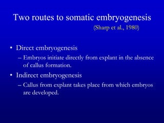 Two routes to somatic embryogenesis
(Sharp et al., 1980)
• Direct embryogenesis
– Embryos initiate directly from explant in the absence
of callus formation.
• Indirect embryogenesis
– Callus from explant takes place from which embryos
are developed.
 