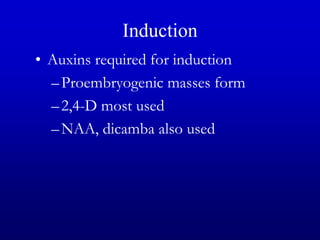 Induction
• Auxins required for induction
–Proembryogenic masses form
–2,4-D most used
–NAA, dicamba also used
 