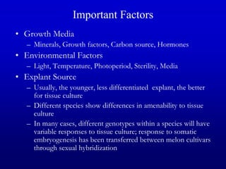 Important Factors
• Growth Media
– Minerals, Growth factors, Carbon source, Hormones
• Environmental Factors
– Light, Temperature, Photoperiod, Sterility, Media
• Explant Source
– Usually, the younger, less differentiated explant, the better
for tissue culture
– Different species show differences in amenability to tissue
culture
– In many cases, different genotypes within a species will have
variable responses to tissue culture; response to somatic
embryogenesis has been transferred between melon cultivars
through sexual hybridization
 