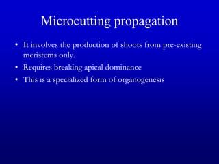 Microcutting propagation
• It involves the production of shoots from pre-existing
meristems only.
• Requires breaking apical dominance
• This is a specialized form of organogenesis
 