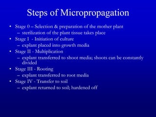 Steps of Micropropagation
• Stage 0 – Selection & preparation of the mother plant
– sterilization of the plant tissue takes place
• Stage I - Initiation of culture
– explant placed into growth media
• Stage II - Multiplication
– explant transferred to shoot media; shoots can be constantly
divided
• Stage III - Rooting
– explant transferred to root media
• Stage IV - Transfer to soil
– explant returned to soil; hardened off
 