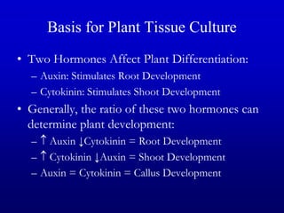 Basis for Plant Tissue Culture
• Two Hormones Affect Plant Differentiation:
– Auxin: Stimulates Root Development
– Cytokinin: Stimulates Shoot Development
• Generally, the ratio of these two hormones can
determine plant development:
–  Auxin ↓Cytokinin = Root Development
–  Cytokinin ↓Auxin = Shoot Development
– Auxin = Cytokinin = Callus Development
 