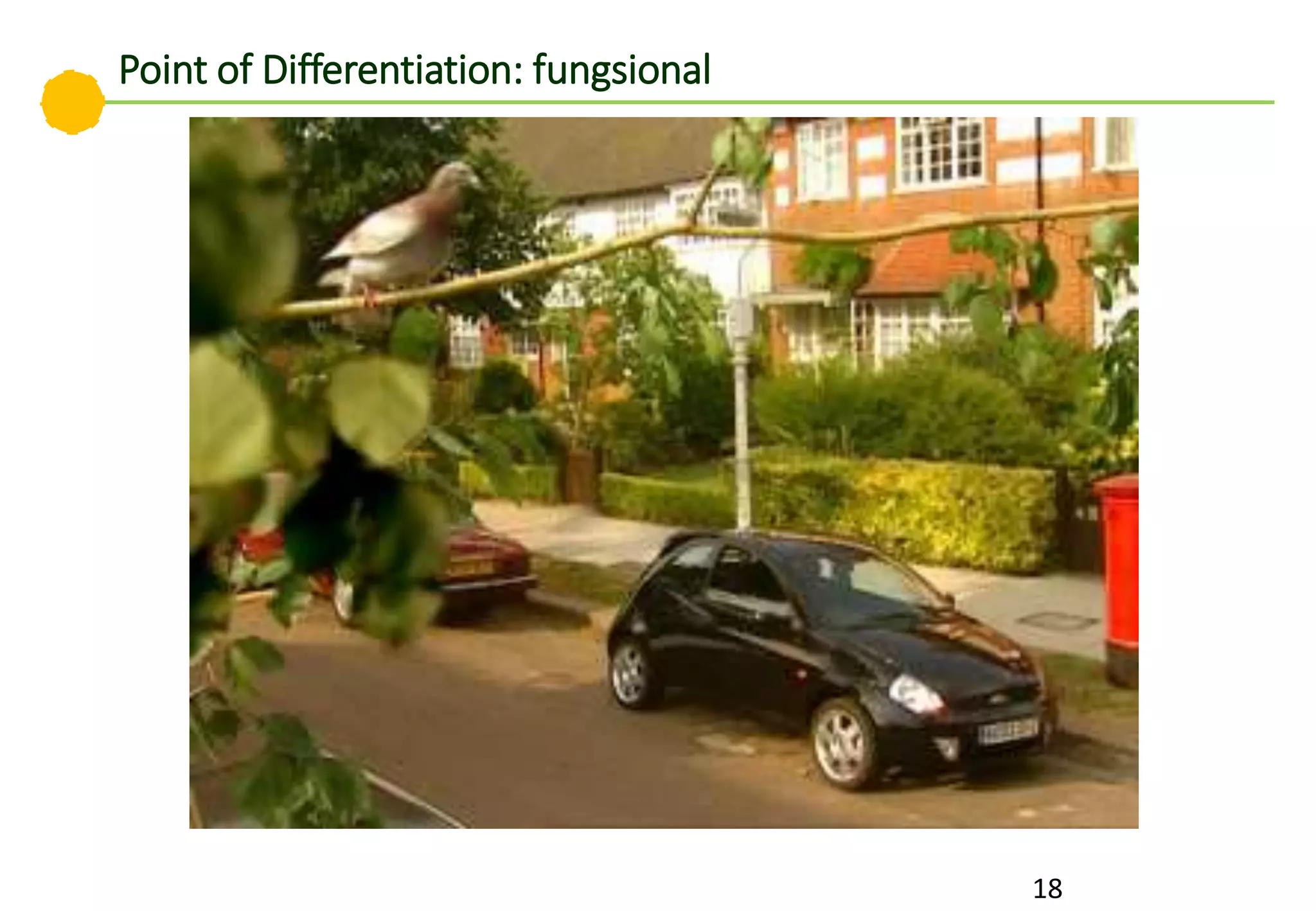 18
Point of Differentiation: fungsional
 