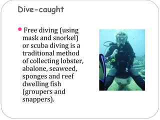 FISHING CRAFT AND GEARS | PPT