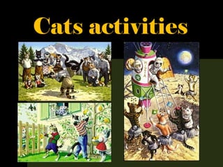 Cats activities
 