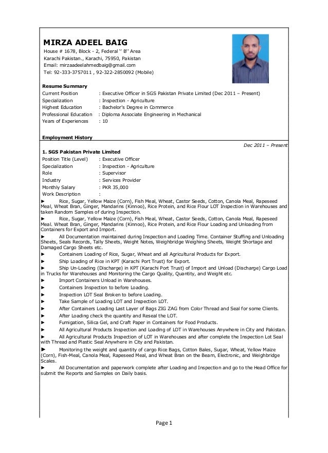 mirza adeel baig sgs cv pdf format pdf what is pdf format resume