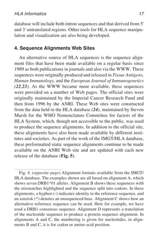 HLA Informatics 17
database will include both intron sequences and that derived from 5'
and 3' untranslated regions. Other tools for HLA sequence manipu-
lation and visualization are also being developed.
4. Sequence Alignments Web Sites
An alternative source of HLA sequences is the sequence align-
ment files that have been made available on a regular basis since
1989 as both publications in journals and also via the WWW. These
sequences were originally produced and released in Tissue Antigens,
Human Immunology, and the European Journal of Immunogenetics
(22,23). As the WWW became more available, these sequences
were provided on a number of Web pages. The official sites were
originally maintained by the Imperial Cancer Research Fund and
then from 1996 by the ANRI. These Web sites were constructed
from the data held in the HLA database (24), maintained by Steven
Marsh for the WHO Nomenclature Committee for factors of the
HLA System, which, though not accessible to the public, was used
to produce the sequence alignments. In addition to the official site,
these alignments have also been made available by different insti-
tutes and societies. As part of the work of the IMGT/HLA database,
these preformatted static sequence alignments continue to be made
available on the ANRI Web site and are updated with each new
release of the database (Fig. 5).
Fig. 4. (opposite page) Alignment formats available from the IMGT/
HLA database. The examples shown are all based on alignment A, which
shows seven DRB1*01 alleles. Alignment B shows these sequences with
the mismatches highlighted and the sequence split into codons. In these
alignments, a hyphen (-) indicates identity to the reference sequence, and
an asterisk (*) denotes an unsequenced base. Alignment C shows how an
alternative reference sequence can be used. Here for example, we have
used a DRB1 consensus sequence. Alignment D represents a translation
of the nucleotide sequence to produce a protein sequence alignment. In
alignments A and C, the numbering is given for nucleotides, in align-
ments B and C, it is for codon or amino acid position.
 