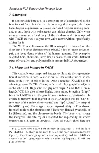 Accessing HLA Sequencing Through 6ace 33
7. Examples
It is impossible here to give a complete set of examples of all the
functions of 6ace, but the user is encouraged to explore the data-
bases to gain experience. A novice user need not fear causing dam-
age, as only those with write access can initiate changes. Only when
users are running a local copy of the database and this is opened
with TACE are they likely to have write access without specifically
asking for it.
The MHC, also known as the HLA complex, is located on the
short arm of human chromosome 6 (6p21.3). It is the most polymor-
phic and gene dense region of the human genome. The examples
selected here, therefore, have been chosen to illustrate different
types of variation and polymorphism present in HLA sequences.
7.1. Maps and Images in XACE
This example uses maps and images to illustrate the representa-
tion of variation in 6ace. A variation is either a substitution, inser-
tion, or deletion of bases in the DNA sequence. XACE has the
advantage over TACE of being able to display graphical objects
such as the ACEDB genetic and physical maps. As WEBACE emu-
lates XACE, it is also able to display these maps. Selecting “Maps”
from the CMW lists all the genetic maps in 6ace. Of particular rel-
evance to those with an interest in the HLA region will be “Chr_6”
(the map of the entire chromosome) and “6p21_3ctg” (the map of
the MHC region). These appear superimposed in Fig. 3. This shows,
from left to right, the chromosome 6 ideogram flanked by a scale, in
kb (kilobases), and the chromosome bands. The boxes (red) along
the ideogram indicate regions selected for sequencing or where
sequencing is already in progress. (Note: all colors given here are
Fig. 2. (opposite page) Text display of Sequence E1448 in 6ace
(WEBACE). The three pages used to select the 6ace database (acedb6;
top left), the Genome_Sequence class (top center), and the E1448 se-
quence text (top right), together with the resulting Sequence: E1448 text
page (bottom).
 