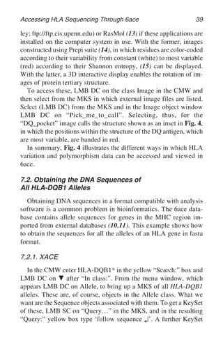 Accessing HLA Sequencing Through 6ace 39
ley; ftp://ftp.cis.upenn.edu) or RasMol (13) if these applications are
installed on the computer system in use. With the former, images
constructed using Prepi suite (14), in which residues are color-coded
according to their variability from constant (white) to most variable
(red) according to their Shannon entropy, (15) can be displayed.
With the latter, a 3D interactive display enables the rotation of im-
ages of protein tertiary structure.
To access these, LMB DC on the class Image in the CMW and
then select from the MKS in which external image files are listed.
Select (LMB DC) from the MKS and in the Image object window
LMB DC on “Pick_me_to_call”. Selecting, thus, for the
“DQ_pocket” image calls the structure shown as an inset in Fig. 4,
in which the positions within the structure of the DQ antigen, which
are most variable, are banded in red.
In summary, Fig. 4 illustrates the different ways in which HLA
variation and polymorphism data can be accessed and viewed in
6ace.
7.2. Obtaining the DNA Sequences of
All HLA-DQB1 Alleles
Obtaining DNA sequences in a format compatible with analysis
software is a common problem in bioinformatics. The 6ace data-
base contains allele sequences for genes in the MHC region im-
ported from external databases (10,11). This example shows how
to obtain the sequences for all the alleles of an HLA gene in fasta
format.
7.2.1. XACE
In the CMW enter HLA-DQB1* in the yellow “Search:” box and
LMB DC on 䉲 after “In class:”. From the menu window, which
appears LMB DC on Allele, to bring up a MKS of all HLA-DQB1
alleles. These are, of course, objects in the Allele class. What we
want are the Sequence objects associated with them. To get a KeySet
of these, LMB SC on “Query…” in the MKS, and in the resulting
“Query:” yellow box type ‘follow sequence ↵’. A further KeySet
 