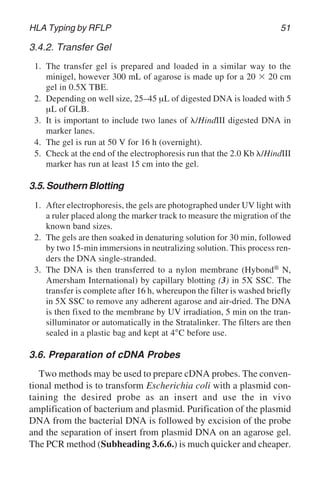 HLA Typing by RFLP 51
3.4.2. Transfer Gel
1. The transfer gel is prepared and loaded in a similar way to the
minigel, however 300 mL of agarose is made up for a 20 ⫻ 20 cm
gel in 0.5X TBE.
2. Depending on well size, 25–45 µL of digested DNA is loaded with 5
µL of GLB.
3. It is important to include two lanes of ␭/HindIII digested DNA in
marker lanes.
4. The gel is run at 50 V for 16 h (overnight).
5. Check at the end of the electrophoresis run that the 2.0 Kb ␭/HindIII
marker has run at least 15 cm into the gel.
3.5. Southern Blotting
1. After electrophoresis, the gels are photographed under UV light with
a ruler placed along the marker track to measure the migration of the
known band sizes.
2. The gels are then soaked in denaturing solution for 30 min, followed
by two 15-min immersions in neutralizing solution. This process ren-
ders the DNA single-stranded.
3. The DNA is then transferred to a nylon membrane (Hybond® N,
Amersham International) by capillary blotting (3) in 5X SSC. The
transfer is complete after 16 h, whereupon the filter is washed briefly
in 5X SSC to remove any adherent agarose and air-dried. The DNA
is then fixed to the membrane by UV irradiation, 5 min on the tran-
silluminator or automatically in the Stratalinker. The filters are then
sealed in a plastic bag and kept at 4°C before use.
3.6. Preparation of cDNA Probes
Two methods may be used to prepare cDNA probes. The conven-
tional method is to transform Escherichia coli with a plasmid con-
taining the desired probe as an insert and use the in vivo
amplification of bacterium and plasmid. Purification of the plasmid
DNA from the bacterial DNA is followed by excision of the probe
and the separation of insert from plasmid DNA on an agarose gel.
The PCR method (Subheading 3.6.6.) is much quicker and cheaper.
 