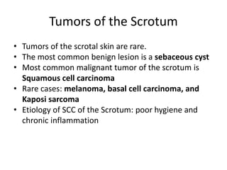 Tumors of the Scrotum
• Tumors of the scrotal skin are rare.
• The most common benign lesion is a sebaceous cyst
• Most common malignant tumor of the scrotum is
Squamous cell carcinoma
• Rare cases: melanoma, basal cell carcinoma, and
Kaposi sarcoma
• Etiology of SCC of the Scrotum: poor hygiene and
chronic inflammation
 