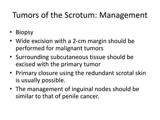 Tumors of the Scrotum: Management
• Biopsy
• Wide excision with a 2-cm margin should be
performed for malignant tumors
• Surrounding subcutaneous tissue should be
excised with the primary tumor
• Primary closure using the redundant scrotal skin
is usually possible.
• The management of inguinal nodes should be
similar to that of penile cancer.
 