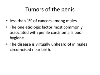 Tumors of the penis
• less than 1% of cancers among males
• The one etiologic factor most commonly
associated with penile carcinoma is poor
hygiene
• The disease is virtually unheard of in males
circumcised near birth.
 