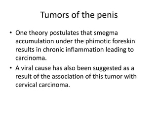 Tumors of the penis
• One theory postulates that smegma
accumulation under the phimotic foreskin
results in chronic inflammation leading to
carcinoma.
• A viral cause has also been suggested as a
result of the association of this tumor with
cervical carcinoma.
 