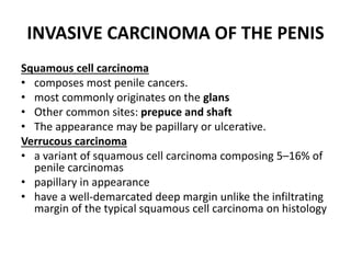 INVASIVE CARCINOMA OF THE PENIS
Squamous cell carcinoma
• composes most penile cancers.
• most commonly originates on the glans
• Other common sites: prepuce and shaft
• The appearance may be papillary or ulcerative.
Verrucous carcinoma
• a variant of squamous cell carcinoma composing 5–16% of
penile carcinomas
• papillary in appearance
• have a well-demarcated deep margin unlike the infiltrating
margin of the typical squamous cell carcinoma on histology
 