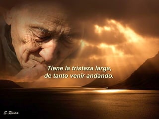 Tiene la tristeza larga, de tanto venir andando.   