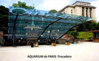 AQUARIUM de PARIS -Trocadero
 