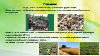 Підсумки
Лісові, лукові системи багаті на різноманітні форми життя.
Лісова підстилка — це багатошарова товща опалого листя, де проживає велике різноманіття
безхребетних.
Парки — це частково або повністю створене людиною середовище, де поєднуються архітектурні,
водні, ландшафтні об’єкти.
Степова зона України — це луки із багаторічними травами, які переважно розорені з метою
вирощування сільськогосподарських рослин.
Рослинний світ полів одноманітний.
 