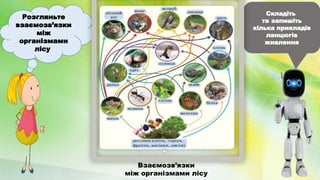 Розгляньте
взаємозв’язки
між
організмами
лісу
Складіть
та запишіть
кілька прикладів
ланцюгів
живлення
Взаємозв’язки
між організмами лісу
 