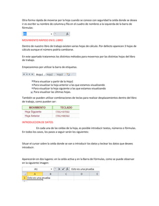 Otra forma rápida de moverse por la hoja cuando se conoce con seguridad la celda donde se desea
ir es escribir su nombre de columna y fila en el cuadro de nombres a la izquierda de la barra de
fórmulas:

MOVIMIENTO RAPIDO EN EL LIBRO
Dentro de nuestro libro de trabajo existen varias hojas de cálculo. Por defecto aparecen 3 hojas de
cálculo aunque el número podría cambiarse.
En este apartado trataremos los distintos métodos para movernos por las distintas hojas del libro
de trabajo.
Empezaremos por utilizar la barra de etiquetas.

Para visualizar a partir de la Hoja1
Para visualizar la hoja anterior a las que estamos visualizando
Para visualizar la hoja siguiente a las que estamos visualizando
Para visualizar las últimas hojas.
También se pueden utilizar combinaciones de teclas para realizar desplazamientos dentro del libro
de trabajo, como pueden ser:

INTRODUCCION DE DATOS
En cada una de las celdas de la hoja, es posible introducir textos, números o fórmulas.
En todos los casos, los pasos a seguir serán los siguientes:

Situar el cursor sobre la celda donde se van a introducir los datos y teclear los datos que desees
introducir.

Aparecerán en dos lugares: en la celda activa y en la Barra de Fórmulas, como se puede observar
en la siguiente imagen:

 