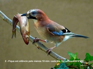 2 - Fique em silêncio pelo menos 10 min. cada dia. Se necessário a sós.  