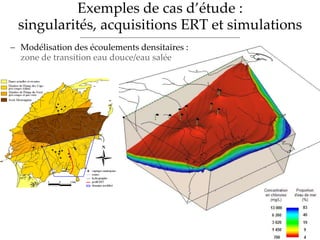 Exemples de cas d’étude :
singularités, acquisitions ERT et simulations
 Modélisation des écoulements densitaires :
zone de transition eau douce/eau salée
 