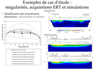 Exemples de cas d’étude :
singularités, acquisitions ERT et simulations
 Modélisation des écoulements
densitaires : piézométrie et salinité
 