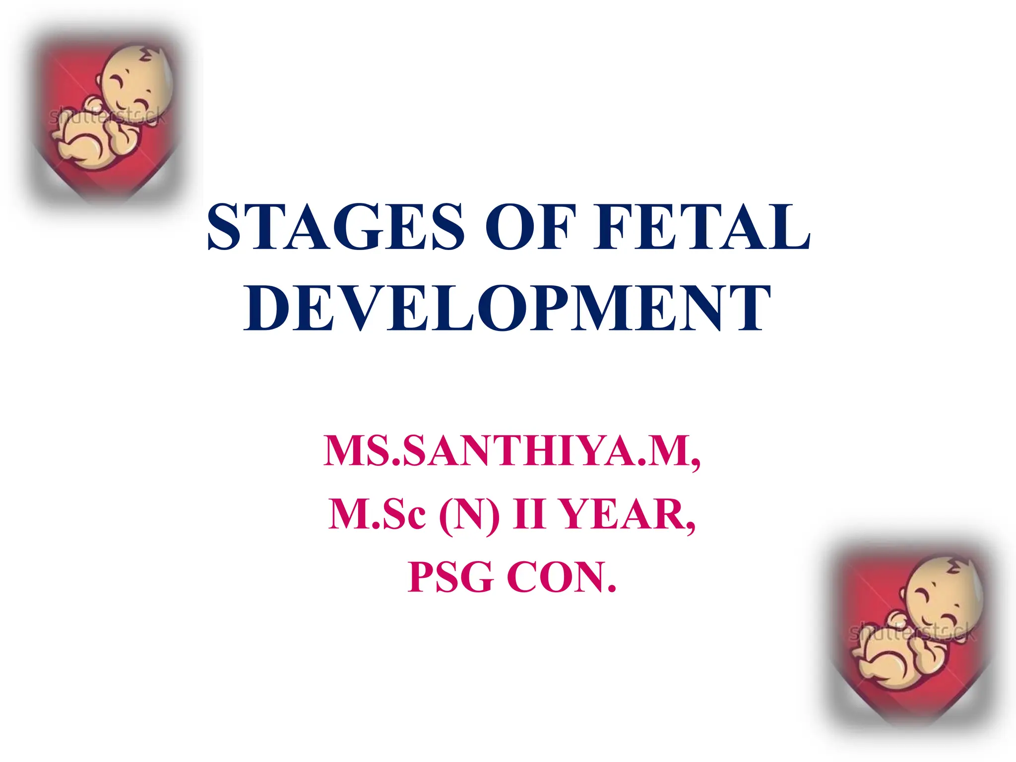 466416256-Stages-of-fetal-development-Final-PPT.pptx
