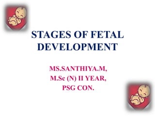466416256-Stages-of-fetal-development-Final-PPT.pptx