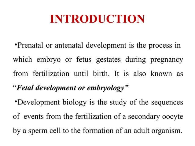 466416256-Stages-of-fetal-development-Final-PPT.pptx