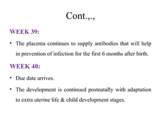 466416256-Stages-of-fetal-development-Final-PPT.pptx