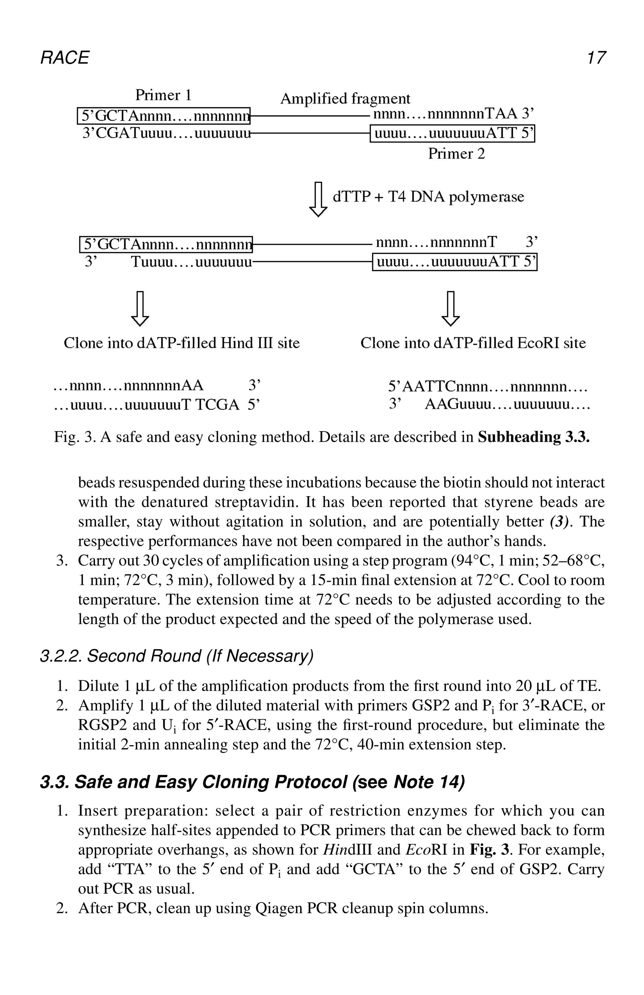 RACE 17
beads resuspended during these incubations because the biotin should not interact
with the denatured streptavidin. It has been reported that styrene beads are
smaller, stay without agitation in solution, and are potentially better (3). The
respective performances have not been compared in the author’s hands.
3. Carry out 30 cycles of amplification using a step program (94°C, 1 min; 52–68°C,
1 min; 72°C, 3 min), followed by a 15-min final extension at 72°C. Cool to room
temperature. The extension time at 72°C needs to be adjusted according to the
length of the product expected and the speed of the polymerase used.
3.2.2. Second Round (If Necessary)
1. Dilute 1 µL of the amplification products from the first round into 20 µL of TE.
2. Amplify 1 µL of the diluted material with primers GSP2 and Pi for 3′-RACE, or
RGSP2 and Ui for 5′-RACE, using the first-round procedure, but eliminate the
initial 2-min annealing step and the 72°C, 40-min extension step.
3.3. Safe and Easy Cloning Protocol (see Note 14)
1. Insert preparation: select a pair of restriction enzymes for which you can
synthesize half-sites appended to PCR primers that can be chewed back to form
appropriate overhangs, as shown for HindIII and EcoRI in Fig. 3. For example,
add “TTA” to the 5′ end of Pi and add “GCTA” to the 5′ end of GSP2. Carry
out PCR as usual.
2. After PCR, clean up using Qiagen PCR cleanup spin columns.
Fig. 3. A safe and easy cloning method. Details are described in Subheading 3.3.
CH02,13-24,12pgs 01/03/03, 7:32 PM
17
 