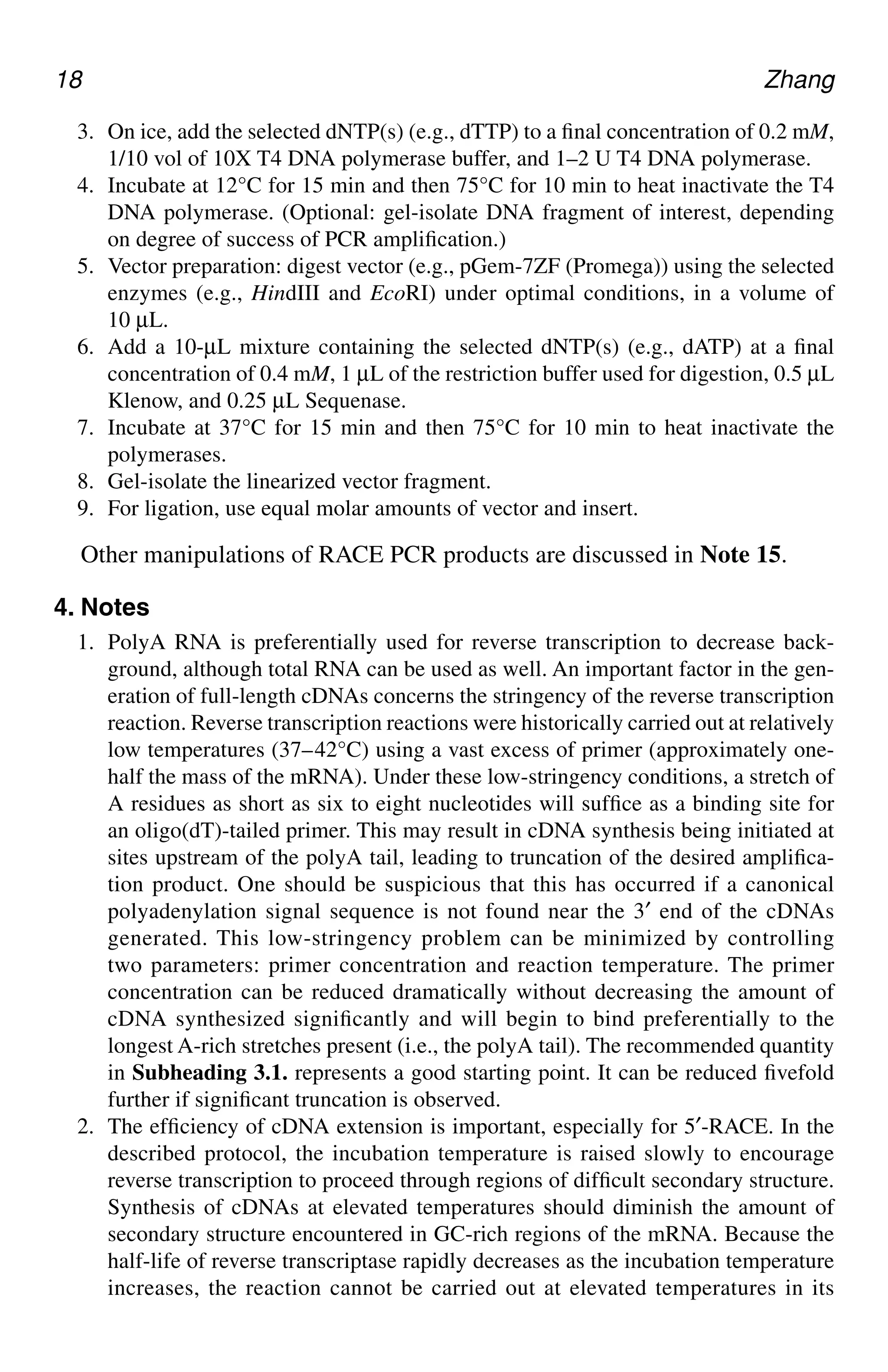 18 Zhang
3. On ice, add the selected dNTP(s) (e.g., dTTP) to a final concentration of 0.2 mM,
1/10 vol of 10X T4 DNA polymerase buffer, and 1–2 U T4 DNA polymerase.
4. Incubate at 12°C for 15 min and then 75°C for 10 min to heat inactivate the T4
DNA polymerase. (Optional: gel-isolate DNA fragment of interest, depending
on degree of success of PCR amplification.)
5. Vector preparation: digest vector (e.g., pGem-7ZF (Promega)) using the selected
enzymes (e.g., HindIII and EcoRI) under optimal conditions, in a volume of
10 µL.
6. Add a 10-µL mixture containing the selected dNTP(s) (e.g., dATP) at a final
concentration of 0.4 mM, 1 µL of the restriction buffer used for digestion, 0.5 µL
Klenow, and 0.25 µL Sequenase.
7. Incubate at 37°C for 15 min and then 75°C for 10 min to heat inactivate the
polymerases.
8. Gel-isolate the linearized vector fragment.
9. For ligation, use equal molar amounts of vector and insert.
Other manipulations of RACE PCR products are discussed in Note 15.
4. Notes
1. PolyA RNA is preferentially used for reverse transcription to decrease back-
ground, although total RNA can be used as well. An important factor in the gen-
eration of full-length cDNAs concerns the stringency of the reverse transcription
reaction. Reverse transcription reactions were historically carried out at relatively
low temperatures (37–42°C) using a vast excess of primer (approximately one-
half the mass of the mRNA). Under these low-stringency conditions, a stretch of
A residues as short as six to eight nucleotides will suffice as a binding site for
an oligo(dT)-tailed primer. This may result in cDNA synthesis being initiated at
sites upstream of the polyA tail, leading to truncation of the desired amplifica-
tion product. One should be suspicious that this has occurred if a canonical
polyadenylation signal sequence is not found near the 3′ end of the cDNAs
generated. This low-stringency problem can be minimized by controlling
two parameters: primer concentration and reaction temperature. The primer
concentration can be reduced dramatically without decreasing the amount of
cDNA synthesized significantly and will begin to bind preferentially to the
longest A-rich stretches present (i.e., the polyA tail). The recommended quantity
in Subheading 3.1. represents a good starting point. It can be reduced fivefold
further if significant truncation is observed.
2. The efficiency of cDNA extension is important, especially for 5′-RACE. In the
described protocol, the incubation temperature is raised slowly to encourage
reverse transcription to proceed through regions of difficult secondary structure.
Synthesis of cDNAs at elevated temperatures should diminish the amount of
secondary structure encountered in GC-rich regions of the mRNA. Because the
half-life of reverse transcriptase rapidly decreases as the incubation temperature
increases, the reaction cannot be carried out at elevated temperatures in its
CH02,13-24,12pgs 01/03/03, 7:32 PM
18
 
