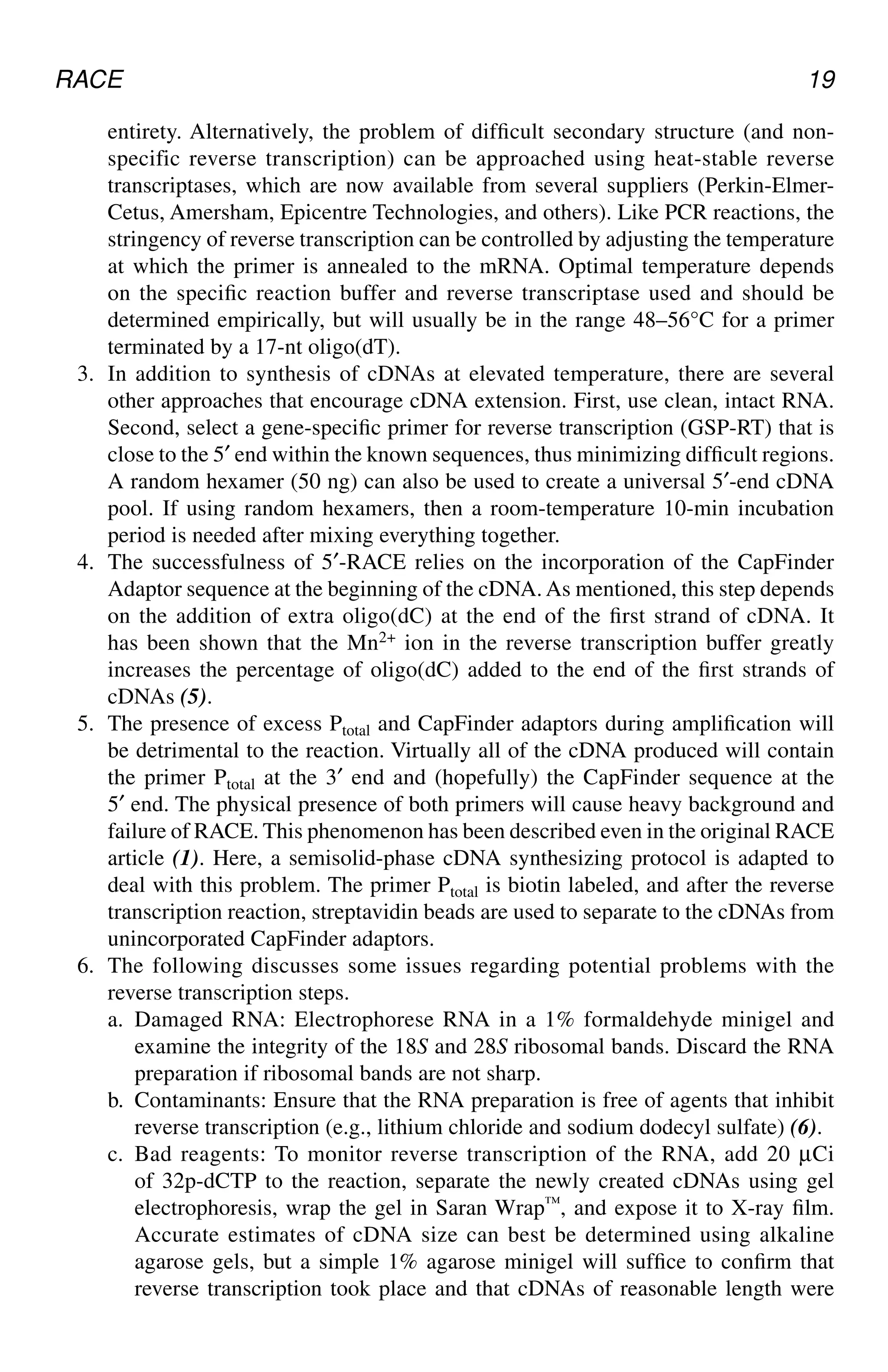 RACE 19
entirety. Alternatively, the problem of difficult secondary structure (and non-
specific reverse transcription) can be approached using heat-stable reverse
transcriptases, which are now available from several suppliers (Perkin-Elmer-
Cetus, Amersham, Epicentre Technologies, and others). Like PCR reactions, the
stringency of reverse transcription can be controlled by adjusting the temperature
at which the primer is annealed to the mRNA. Optimal temperature depends
on the specific reaction buffer and reverse transcriptase used and should be
determined empirically, but will usually be in the range 48–56°C for a primer
terminated by a 17-nt oligo(dT).
3. In addition to synthesis of cDNAs at elevated temperature, there are several
other approaches that encourage cDNA extension. First, use clean, intact RNA.
Second, select a gene-specific primer for reverse transcription (GSP-RT) that is
close to the 5′ end within the known sequences, thus minimizing difficult regions.
A random hexamer (50 ng) can also be used to create a universal 5′-end cDNA
pool. If using random hexamers, then a room-temperature 10-min incubation
period is needed after mixing everything together.
4. The successfulness of 5′-RACE relies on the incorporation of the CapFinder
Adaptor sequence at the beginning of the cDNA. As mentioned, this step depends
on the addition of extra oligo(dC) at the end of the first strand of cDNA. It
has been shown that the Mn2+ ion in the reverse transcription buffer greatly
increases the percentage of oligo(dC) added to the end of the first strands of
cDNAs (5).
5. The presence of excess Ptotal and CapFinder adaptors during amplification will
be detrimental to the reaction. Virtually all of the cDNA produced will contain
the primer Ptotal at the 3′ end and (hopefully) the CapFinder sequence at the
5′ end. The physical presence of both primers will cause heavy background and
failure of RACE. This phenomenon has been described even in the original RACE
article (1). Here, a semisolid-phase cDNA synthesizing protocol is adapted to
deal with this problem. The primer Ptotal is biotin labeled, and after the reverse
transcription reaction, streptavidin beads are used to separate to the cDNAs from
unincorporated CapFinder adaptors.
6. The following discusses some issues regarding potential problems with the
reverse transcription steps.
a. Damaged RNA: Electrophorese RNA in a 1% formaldehyde minigel and
examine the integrity of the 18S and 28S ribosomal bands. Discard the RNA
preparation if ribosomal bands are not sharp.
b. Contaminants: Ensure that the RNA preparation is free of agents that inhibit
reverse transcription (e.g., lithium chloride and sodium dodecyl sulfate) (6).
c. Bad reagents: To monitor reverse transcription of the RNA, add 20 µCi
of 32p-dCTP to the reaction, separate the newly created cDNAs using gel
electrophoresis, wrap the gel in Saran Wrap™, and expose it to X-ray film.
Accurate estimates of cDNA size can best be determined using alkaline
agarose gels, but a simple 1% agarose minigel will suffice to confirm that
reverse transcription took place and that cDNAs of reasonable length were
CH02,13-24,12pgs 01/03/03, 7:32 PM
19
 