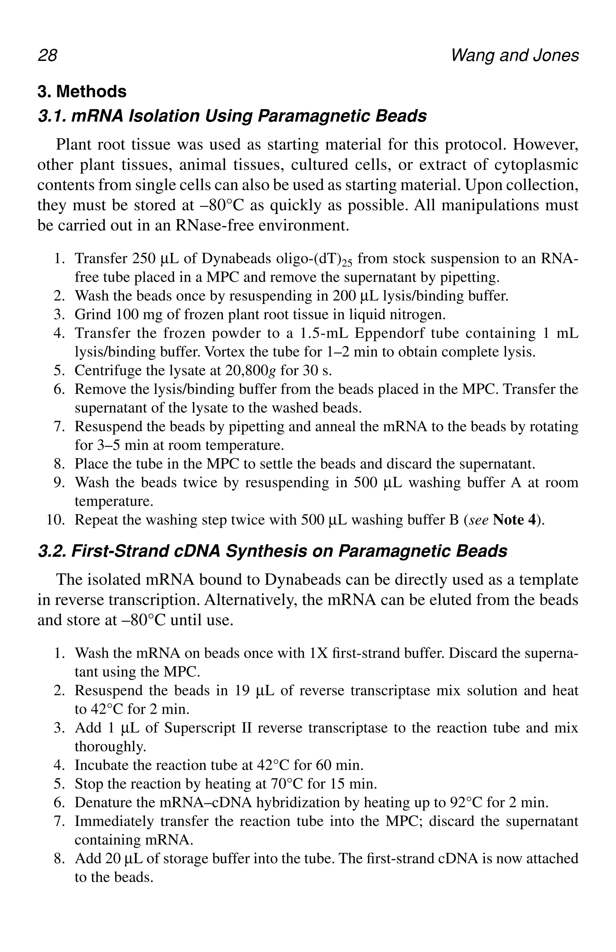 28 Wang and Jones
3. Methods
3.1. mRNA Isolation Using Paramagnetic Beads
Plant root tissue was used as starting material for this protocol. However,
other plant tissues, animal tissues, cultured cells, or extract of cytoplasmic
contents from single cells can also be used as starting material. Upon collection,
they must be stored at –80°C as quickly as possible. All manipulations must
be carried out in an RNase-free environment.
1. Transfer 250 µL of Dynabeads oligo-(dT)25 from stock suspension to an RNA-
free tube placed in a MPC and remove the supernatant by pipetting.
2. Wash the beads once by resuspending in 200 µL lysis/binding buffer.
3. Grind 100 mg of frozen plant root tissue in liquid nitrogen.
4. Transfer the frozen powder to a 1.5-mL Eppendorf tube containing 1 mL
lysis/binding buffer. Vortex the tube for 1–2 min to obtain complete lysis.
5. Centrifuge the lysate at 20,800g for 30 s.
6. Remove the lysis/binding buffer from the beads placed in the MPC. Transfer the
supernatant of the lysate to the washed beads.
7. Resuspend the beads by pipetting and anneal the mRNA to the beads by rotating
for 3–5 min at room temperature.
8. Place the tube in the MPC to settle the beads and discard the supernatant.
9. Wash the beads twice by resuspending in 500 µL washing buffer A at room
temperature.
10. Repeat the washing step twice with 500 µL washing buffer B (see Note 4).
3.2. First-Strand cDNA Synthesis on Paramagnetic Beads
The isolated mRNA bound to Dynabeads can be directly used as a template
in reverse transcription. Alternatively, the mRNA can be eluted from the beads
and store at –80°C until use.
1. Wash the mRNA on beads once with 1X first-strand buffer. Discard the superna-
tant using the MPC.
2. Resuspend the beads in 19 µL of reverse transcriptase mix solution and heat
to 42°C for 2 min.
3. Add 1 µL of Superscript II reverse transcriptase to the reaction tube and mix
thoroughly.
4. Incubate the reaction tube at 42°C for 60 min.
5. Stop the reaction by heating at 70°C for 15 min.
6. Denature the mRNA–cDNA hybridization by heating up to 92°C for 2 min.
7. Immediately transfer the reaction tube into the MPC; discard the supernatant
containing mRNA.
8. Add 20 µL of storage buffer into the tube. The first-strand cDNA is now attached
to the beads.
CH03,25-32,8pgs 01/03/03, 7:32 PM
28
 