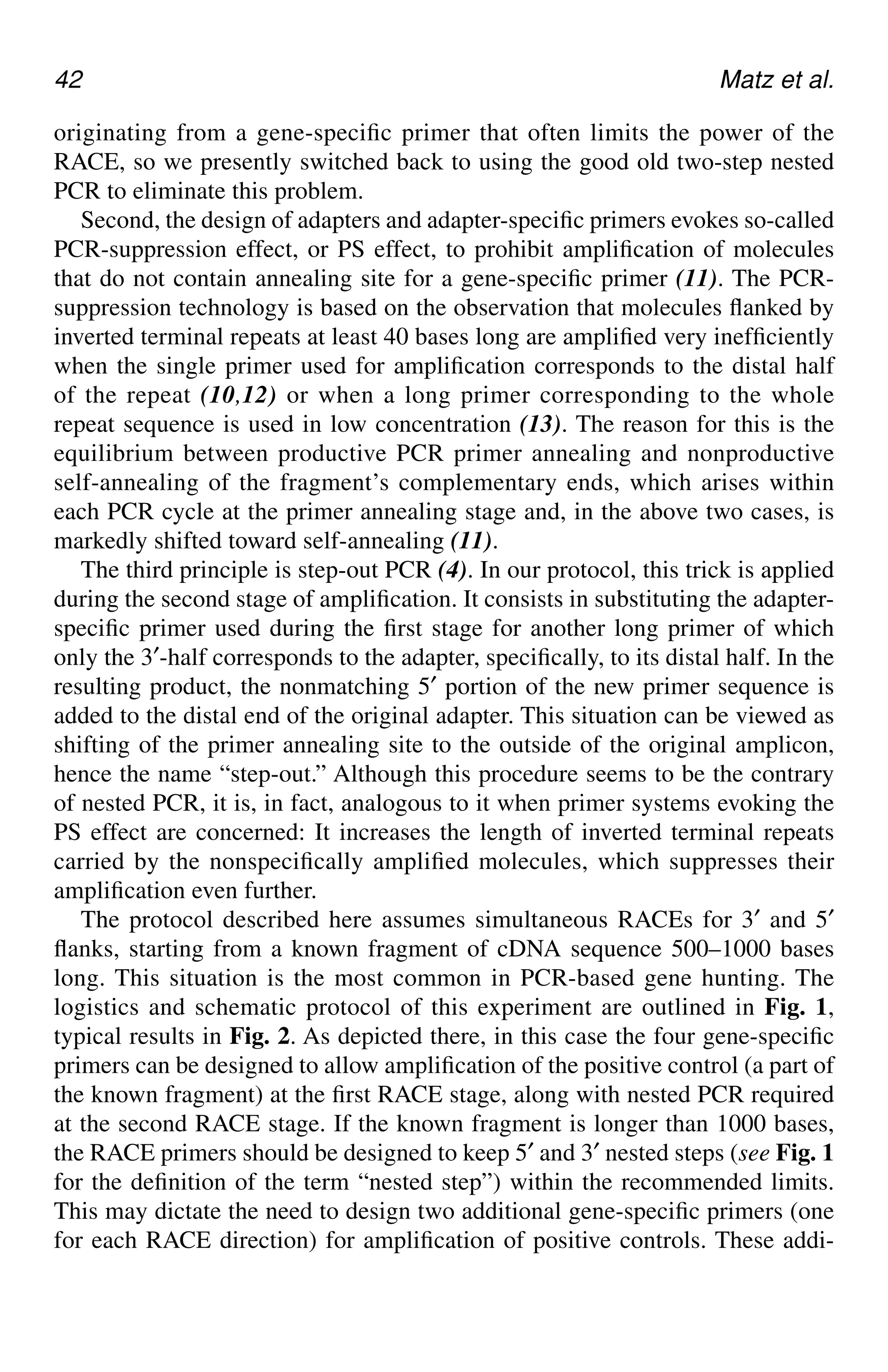 42 Matz et al.
originating from a gene-specific primer that often limits the power of the
RACE, so we presently switched back to using the good old two-step nested
PCR to eliminate this problem.
Second, the design of adapters and adapter-specific primers evokes so-called
PCR-suppression effect, or PS effect, to prohibit amplification of molecules
that do not contain annealing site for a gene-specific primer (11). The PCR-
suppression technology is based on the observation that molecules flanked by
inverted terminal repeats at least 40 bases long are amplified very inefficiently
when the single primer used for amplification corresponds to the distal half
of the repeat (10,12) or when a long primer corresponding to the whole
repeat sequence is used in low concentration (13). The reason for this is the
equilibrium between productive PCR primer annealing and nonproductive
self-annealing of the fragment’s complementary ends, which arises within
each PCR cycle at the primer annealing stage and, in the above two cases, is
markedly shifted toward self-annealing (11).
The third principle is step-out PCR (4). In our protocol, this trick is applied
during the second stage of amplification. It consists in substituting the adapter-
specific primer used during the first stage for another long primer of which
only the 3′-half corresponds to the adapter, specifically, to its distal half. In the
resulting product, the nonmatching 5′ portion of the new primer sequence is
added to the distal end of the original adapter. This situation can be viewed as
shifting of the primer annealing site to the outside of the original amplicon,
hence the name “step-out.” Although this procedure seems to be the contrary
of nested PCR, it is, in fact, analogous to it when primer systems evoking the
PS effect are concerned: It increases the length of inverted terminal repeats
carried by the nonspecifically amplified molecules, which suppresses their
amplification even further.
The protocol described here assumes simultaneous RACEs for 3′ and 5′
flanks, starting from a known fragment of cDNA sequence 500–1000 bases
long. This situation is the most common in PCR-based gene hunting. The
logistics and schematic protocol of this experiment are outlined in Fig. 1,
typical results in Fig. 2. As depicted there, in this case the four gene-specific
primers can be designed to allow amplification of the positive control (a part of
the known fragment) at the first RACE stage, along with nested PCR required
at the second RACE stage. If the known fragment is longer than 1000 bases,
the RACE primers should be designed to keep 5′ and 3′ nested steps (see Fig. 1
for the definition of the term “nested step”) within the recommended limits.
This may dictate the need to design two additional gene-specific primers (one
for each RACE direction) for amplification of positive controls. These addi-
CH05,41-50,10pgs 01/03/03, 7:33 PM
42
 
