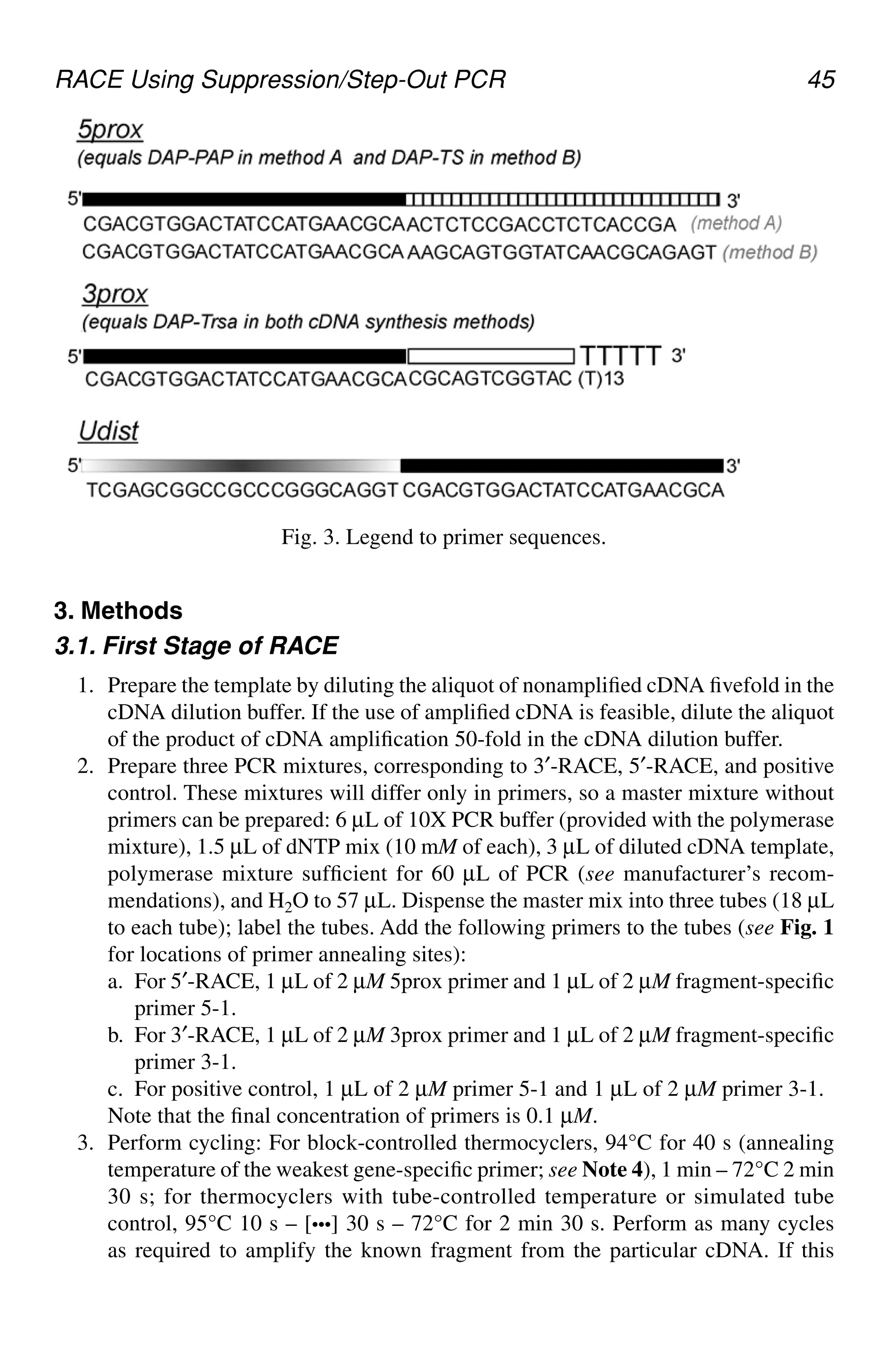 RACE Using Suppression/Step-Out PCR 45
3. Methods
3.1. First Stage of RACE
1. Prepare the template by diluting the aliquot of nonamplified cDNA fivefold in the
cDNA dilution buffer. If the use of amplified cDNA is feasible, dilute the aliquot
of the product of cDNA amplification 50-fold in the cDNA dilution buffer.
2. Prepare three PCR mixtures, corresponding to 3′-RACE, 5′-RACE, and positive
control. These mixtures will differ only in primers, so a master mixture without
primers can be prepared: 6 µL of 10X PCR buffer (provided with the polymerase
mixture), 1.5 µL of dNTP mix (10 mM of each), 3 µL of diluted cDNA template,
polymerase mixture sufficient for 60 µL of PCR (see manufacturer’s recom-
mendations), and H2O to 57 µL. Dispense the master mix into three tubes (18 µL
to each tube); label the tubes. Add the following primers to the tubes (see Fig. 1
for locations of primer annealing sites):
a. For 5′-RACE, 1 µL of 2 µM 5prox primer and 1 µL of 2 µM fragment-specific
primer 5-1.
b. For 3′-RACE, 1 µL of 2 µM 3prox primer and 1 µL of 2 µM fragment-specific
primer 3-1.
c. For positive control, 1 µL of 2 µM primer 5-1 and 1 µL of 2 µM primer 3-1.
Note that the final concentration of primers is 0.1 µM.
3. Perform cycling: For block-controlled thermocyclers, 94°C for 40 s (annealing
temperature of the weakest gene-specific primer; see Note 4), 1 min – 72°C 2 min
30 s; for thermocyclers with tube-controlled temperature or simulated tube
control, 95°C 10 s – [•••] 30 s – 72°C for 2 min 30 s. Perform as many cycles
as required to amplify the known fragment from the particular cDNA. If this
Fig. 3. Legend to primer sequences.
CH05,41-50,10pgs 01/03/03, 7:34 PM
45
 