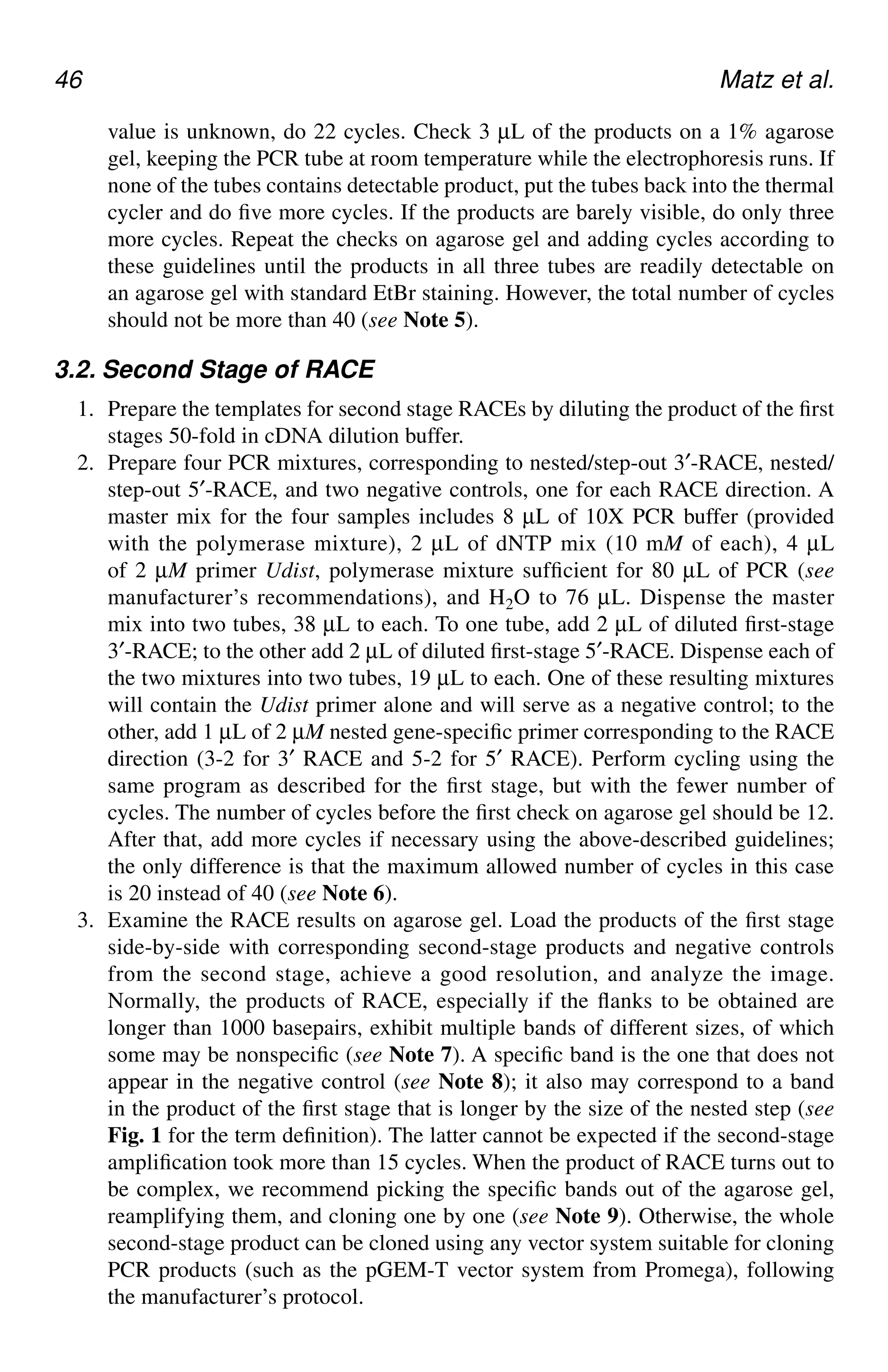 46 Matz et al.
value is unknown, do 22 cycles. Check 3 µL of the products on a 1% agarose
gel, keeping the PCR tube at room temperature while the electrophoresis runs. If
none of the tubes contains detectable product, put the tubes back into the thermal
cycler and do five more cycles. If the products are barely visible, do only three
more cycles. Repeat the checks on agarose gel and adding cycles according to
these guidelines until the products in all three tubes are readily detectable on
an agarose gel with standard EtBr staining. However, the total number of cycles
should not be more than 40 (see Note 5).
3.2. Second Stage of RACE
1. Prepare the templates for second stage RACEs by diluting the product of the first
stages 50-fold in cDNA dilution buffer.
2. Prepare four PCR mixtures, corresponding to nested/step-out 3′-RACE, nested/
step-out 5′-RACE, and two negative controls, one for each RACE direction. A
master mix for the four samples includes 8 µL of 10X PCR buffer (provided
with the polymerase mixture), 2 µL of dNTP mix (10 mM of each), 4 µL
of 2 µM primer Udist, polymerase mixture sufficient for 80 µL of PCR (see
manufacturer’s recommendations), and H2O to 76 µL. Dispense the master
mix into two tubes, 38 µL to each. To one tube, add 2 µL of diluted first-stage
3′-RACE; to the other add 2 µL of diluted first-stage 5′-RACE. Dispense each of
the two mixtures into two tubes, 19 µL to each. One of these resulting mixtures
will contain the Udist primer alone and will serve as a negative control; to the
other, add 1 µL of 2 µM nested gene-specific primer corresponding to the RACE
direction (3-2 for 3′ RACE and 5-2 for 5′ RACE). Perform cycling using the
same program as described for the first stage, but with the fewer number of
cycles. The number of cycles before the first check on agarose gel should be 12.
After that, add more cycles if necessary using the above-described guidelines;
the only difference is that the maximum allowed number of cycles in this case
is 20 instead of 40 (see Note 6).
3. Examine the RACE results on agarose gel. Load the products of the first stage
side-by-side with corresponding second-stage products and negative controls
from the second stage, achieve a good resolution, and analyze the image.
Normally, the products of RACE, especially if the flanks to be obtained are
longer than 1000 basepairs, exhibit multiple bands of different sizes, of which
some may be nonspecific (see Note 7). A specific band is the one that does not
appear in the negative control (see Note 8); it also may correspond to a band
in the product of the first stage that is longer by the size of the nested step (see
Fig. 1 for the term definition). The latter cannot be expected if the second-stage
amplification took more than 15 cycles. When the product of RACE turns out to
be complex, we recommend picking the specific bands out of the agarose gel,
reamplifying them, and cloning one by one (see Note 9). Otherwise, the whole
second-stage product can be cloned using any vector system suitable for cloning
PCR products (such as the pGEM-T vector system from Promega), following
the manufacturer’s protocol.
CH05,41-50,10pgs 01/03/03, 7:34 PM
46
 