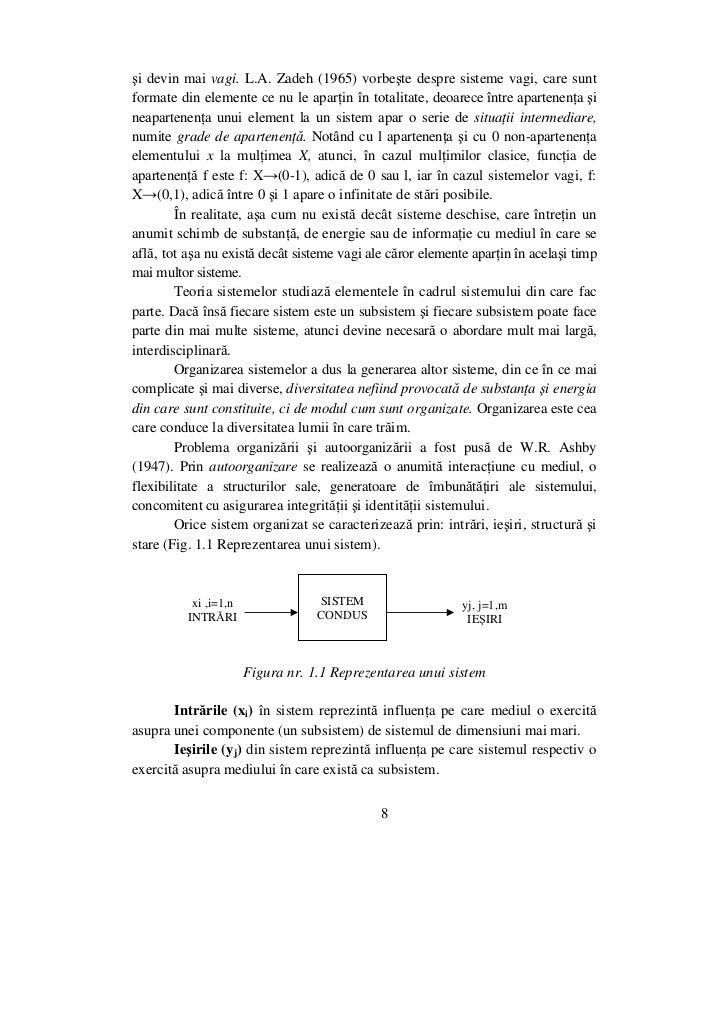 46678951 Sisteme Informationale Si Aplicatii Informatice In Administr