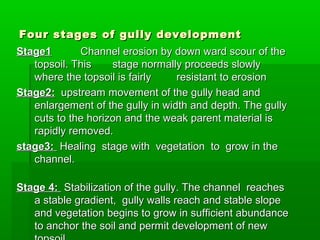 Four stages of gully developmentFour stages of gully development
Stage1Stage1 Channel erosion by down ward scour of theChannel erosion by down ward scour of the
topsoil. Thistopsoil. This stage normally proceeds slowlystage normally proceeds slowly
where the topsoil is fairlywhere the topsoil is fairly resistant to erosionresistant to erosion
Stage2:Stage2: upstream movement of the gully head andupstream movement of the gully head and
enlargement of the gully in width and depth. The gullyenlargement of the gully in width and depth. The gully
cuts to the horizon and the weak parent material iscuts to the horizon and the weak parent material is
rapidly removed.rapidly removed.
stage3:stage3: Healing stage with vegetation to grow in theHealing stage with vegetation to grow in the
channel.channel.
Stage 4:Stage 4: Stabilization of the gully. The channel reachesStabilization of the gully. The channel reaches
a stable gradient, gully walls reach and stable slopea stable gradient, gully walls reach and stable slope
and vegetation begins to grow in sufficient abundanceand vegetation begins to grow in sufficient abundance
to anchor the soil and permit development of newto anchor the soil and permit development of new
 