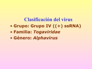 Clasificación del virus
• Grupo: Grupo IV ((+) ssRNA)
• Familia: Togaviridae
• Género: Alphavirus
 