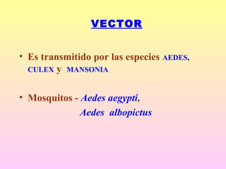 VECTOR
• Es transmitido por las especies AEDES,
CULEX y MANSONIA
• Mosquitos - Aedes aegypti,
Aedes albopictus
 