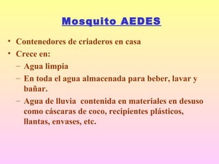 Mosquito AEDES
• Contenedores de criaderos en casa
• Crece en:
– Agua limpia
– En toda el agua almacenada para beber, lavar y
bañar.
– Agua de lluvia contenida en materiales en desuso
como cáscaras de coco, recipientes plásticos,
llantas, envases, etc.
 