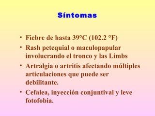 • Fiebre de hasta 39°C (102.2 °F)
• Rash petequial o maculopapular
involucrando el tronco y las Limbs
• Artralgia o artritis afectando múltiples
articulaciones que puede ser
debilitante.
• Cefalea, inyección conjuntival y leve
fotofobia.
Síntomas
 