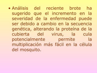 • Análisis del reciente brote ha
sugerido que el incremento en la
severidad de la enfermedad puede
ser debido a cambio en la secuencia
genética, alterando la proteína de la
cubierta del virus, la cula
potencialmente permite la
multiplicación más fácil en la célula
del mosquito.
 