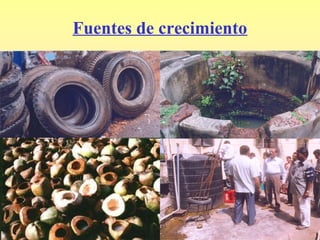 Fuentes de crecimiento
 