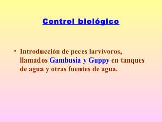 Control biológico
• Introducción de peces larvívoros,
llamados Gambusia y Guppy en tanques
de agua y otras fuentes de agua.
 