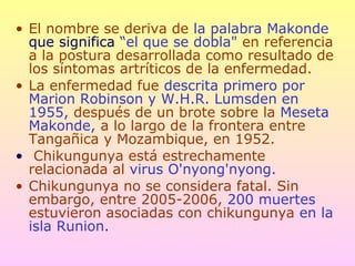 • El nombre se deriva de la palabra Makonde
que significa “el que se dobla" en referencia
a la postura desarrollada como resultado de
los síntomas artríticos de la enfermedad.
• La enfermedad fue descrita primero por
Marion Robinson y W.H.R. Lumsden en
1955, después de un brote sobre la Meseta
Makonde, a lo largo de la frontera entre
Tangañica y Mozambique, en 1952.
• Chikungunya está estrechamente
relacionada al virus O'nyong'nyong.
• Chikungunya no se considera fatal. Sin
embargo, entre 2005-2006, 200 muertes
estuvieron asociadas con chikungunya en la
isla Runion.
 