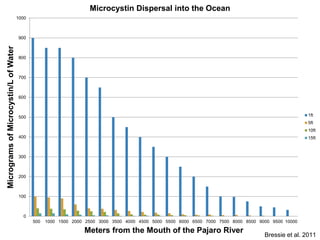 1000 
900 
800 
700 
600 
500 
400 
300 
200 
100 
0 
Microcystin Dispersal into the Ocean 
500 1000 1500 2000 2500 3000 3500 4000 4500 5000 5500 6000 6500 7000 7500 8000 8500 9000 9500 10000 
Micrograms of Microcystin/L of Water 
Meters from the Mouth of the Pajaro River 
1ft 
5ft 
10ft 
15ft 
Bressie et al. 2011 
 